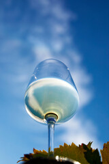 Close up of a glass of white wine from below, against a blue sky