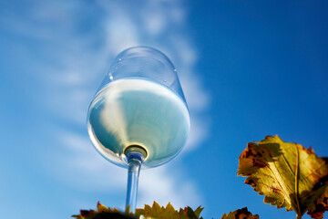 A glass of white wine against a blue sky