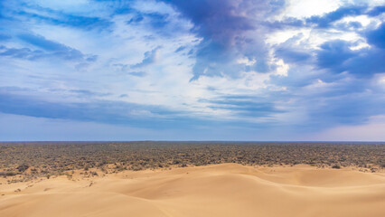 Fototapeta na wymiar anorama 180 of a blooming desert in spring from a bird's eye view