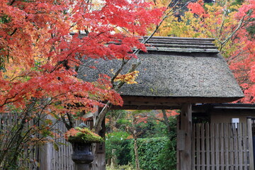 旅館の入口の門