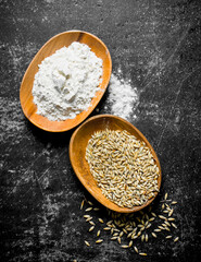 Wheat grain and flour in bowls.