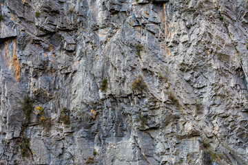Rocky Mountains in Turkey. Vegetation on stone rocks. Detailed image of the mountainous terrain.