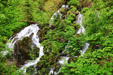 View on a waterfall just next to the Plagnes lake which is located in Haute-Savoie in the municipality of Abondance