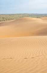 Sand dunes in the Kyzylkum desert Kazakhstan