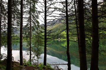 Viewpoint on the Plagnes lake which is located in Haute-Savoie in the municipality of Abondance
