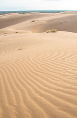 Fototapeta na wymiar Sand dunes in the Kyzylkum desert Kazakhstan