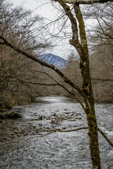 mountain stream