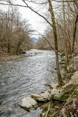 mountain stream