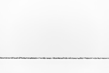 Black-headed gull at Asker coast in the morning hours, a highkey image, Bahrain