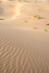 Sand dunes in the Kyzylkum desert Kazakhstan