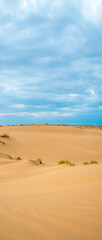Bright blue cloudy sky over the yellow desert of Kyzylkum Kazakhstan