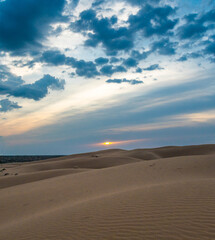 Fototapeta na wymiar Bright blue cloudy sky over the yellow desert of Kyzylkum Kazakhstan