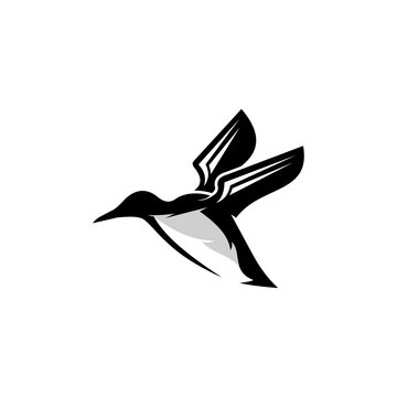 Murre logo design icon. Thick-billed Murre  logo design inspiration. Murre animal logo design template. Animal symbol logotype. Murre symbol silhouette.