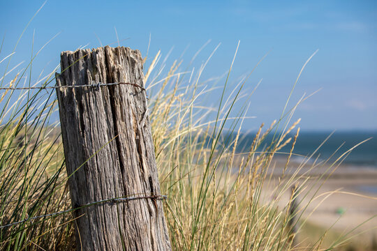 Zaun an den D&uuml;nen der Nordsee