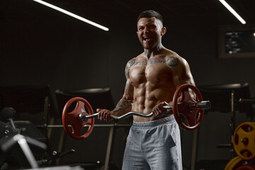 Fototapeta na wymiar Portrait of young muscular man training shirtless in gym indoors. Lifting barbell exercise. Relief body shape. Concept of sport, workout, strength