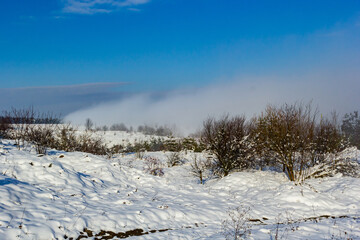 Beautiful winter landscape with snow-covered trees. Blue sky and textured snow. Winter's tale