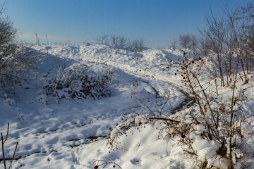 Beautiful winter landscape with snow-covered trees. Blue sky and textured snow. Winter's tale