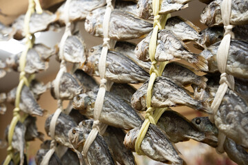 dried fish