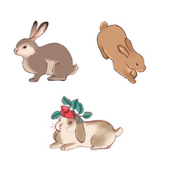 set of sketches of hares rabbits. hand drawing