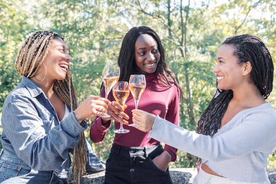 Cheerful diverse women clinking glasses