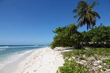 Beautiful white sandy Caribbean beach