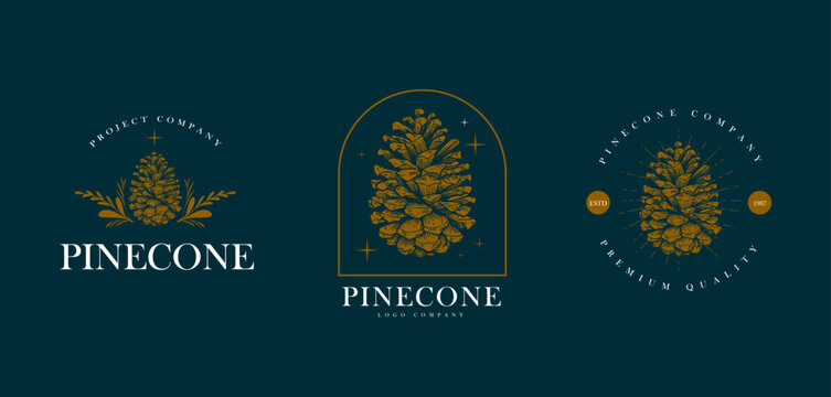 pine cone logo, badge and emblem design
