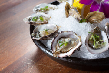 A view of a tray of fresh oysters.