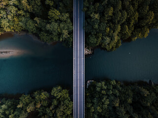 view of trees in the forest with bridge