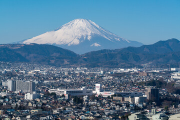 秦野市の街並みと富士山