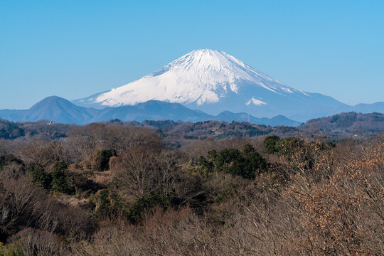 足柄上郡中井町から撮影した富士山