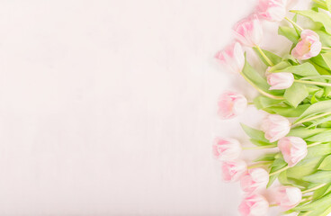Fototapeta premium Mother's Day, St Valentine's Day Card. Tulip Flowers on Pink Pastel Background