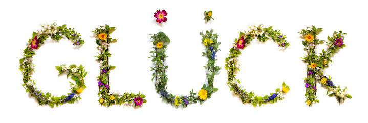 Blooming Flower Letters Building German Word Glueck Means Luck