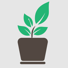 pot, plant, succulent, natural, nature, vector plant, plant icon, png, earth, leaves, garden, nature icon