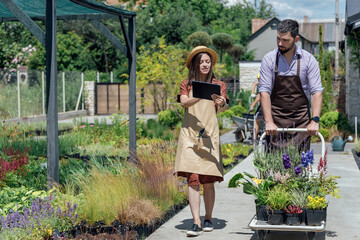 Young man and woman-gardeners take care about perrenial plants in garden center