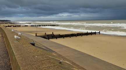 Fototapeta premium Stormy clouds over sandy beach
