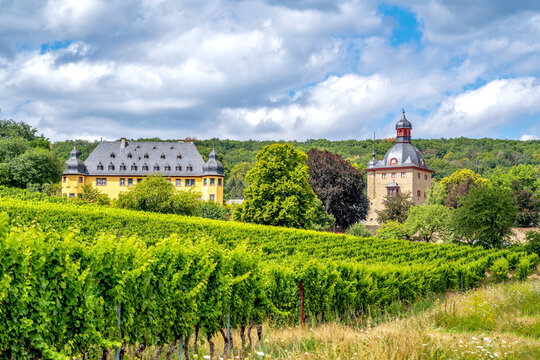 Schloss Vollrads, Geisenheim, Rheingau, Deutschland 
