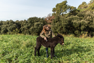 Woman brushing the hair of a donkey calf standing outdoors in field.