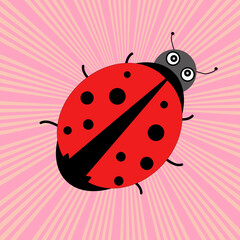 Ladybug vector drawing. Ladybug on a pink background.