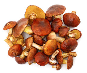 A bunch of porcini mushrooms.