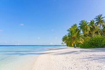 Fototapeta na wymiar Palm trees on the Beautiful maldives tropical island - Panorama