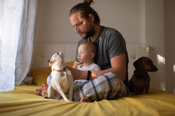 Dad and child play in the bedroom with dogs.