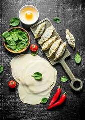 Preparation raw gedza dumplings with spinach and chili pepper.