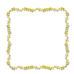 frames in vintage style with elements of ornament, art, pattern, background, texture