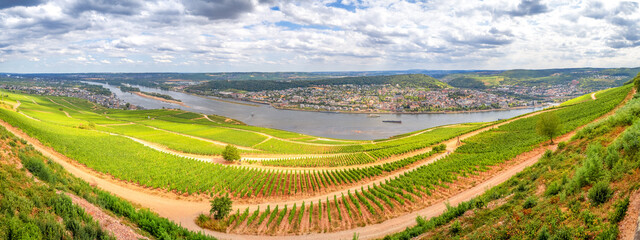 Blick über Rüdesheim am Rhein, Rheingau, Deutschland 