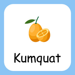 Flat Illustration of Kumquat with Text Vector Design. Education for Kids.