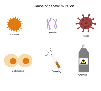 The example causes or risk factor affect to a genetic mutation or change that picture shows various factors : UV radiation, hereditary, Viral particle, cell division, smoking and chemical.
