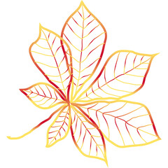  colorful autumn leaves Chestnut, maple, oak, birch, aspen, etc.