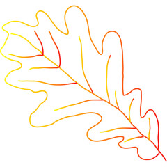  colorful autumn leaves Chestnut, maple, oak, birch, aspen, etc.