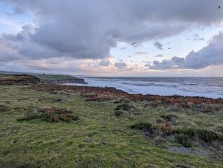 Half Moon Bay coastline, sunset over the sea, storm over the sea, clouds over the sea, California coast, pacific ocean coastline, breathtaking ocean view, west coast, view from the cliffs