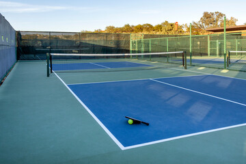 Pickleball paddle and ball on court